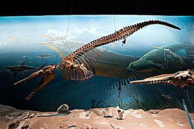 《南方公园：雪假》正式上市发布全新宣传片